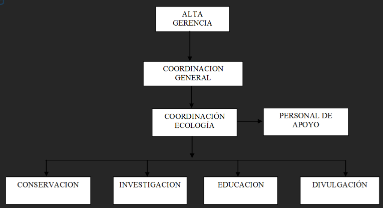 Estructura organizacional